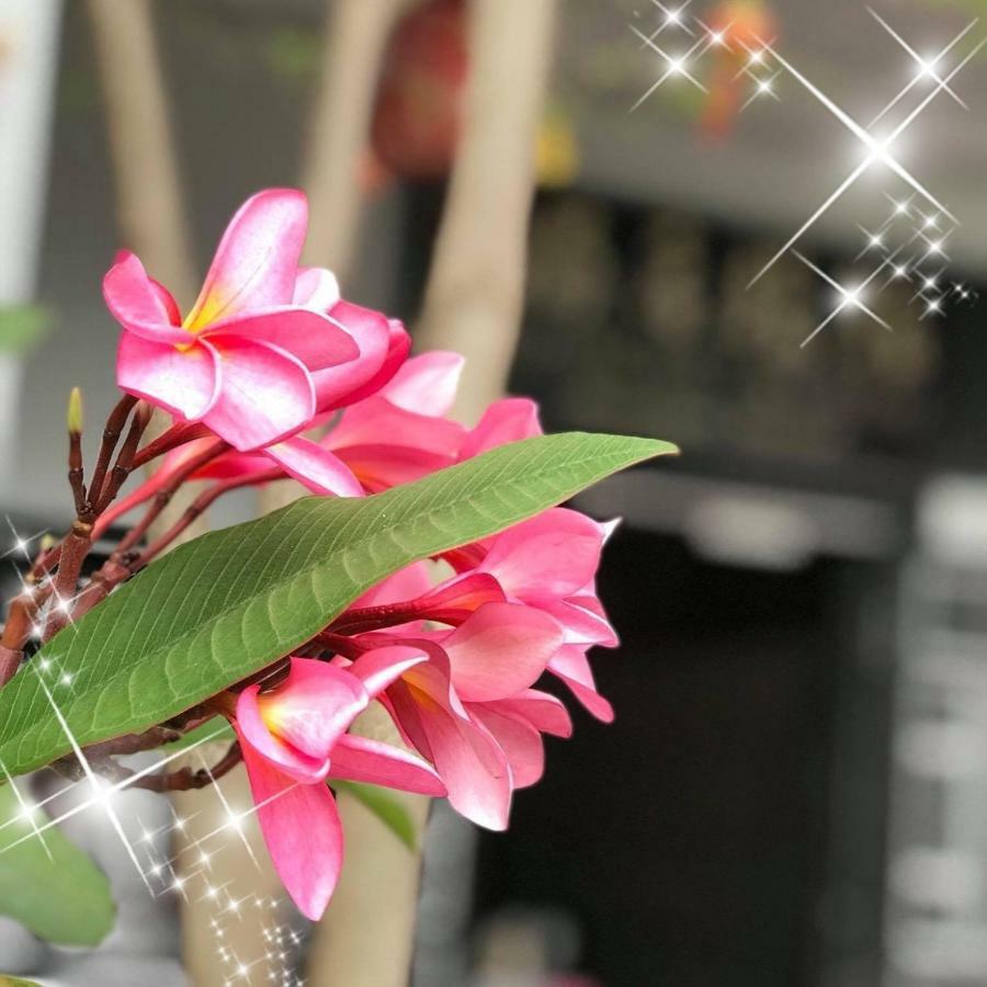Ryokan Muntri Boutique Hostel Τζωρτζ Τάουν Εξωτερικό φωτογραφία
